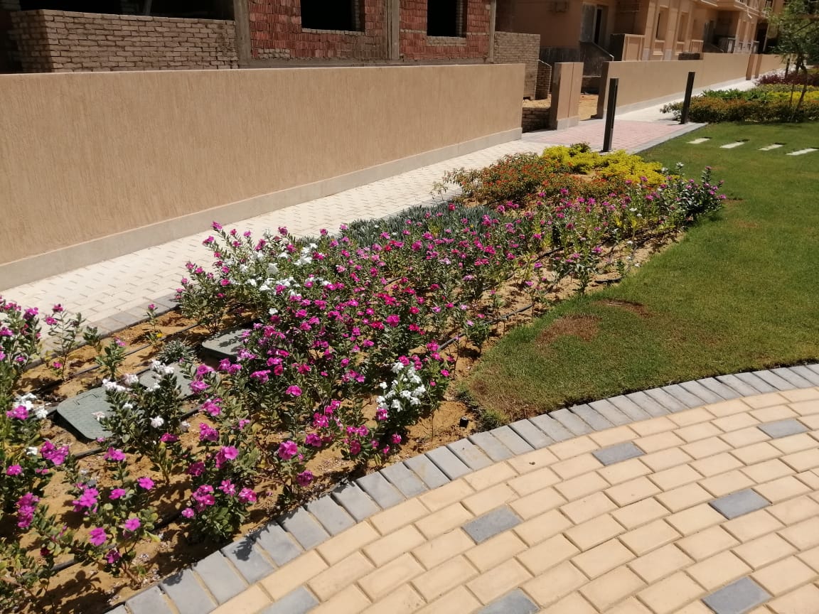 تنسيق الحدائق 1