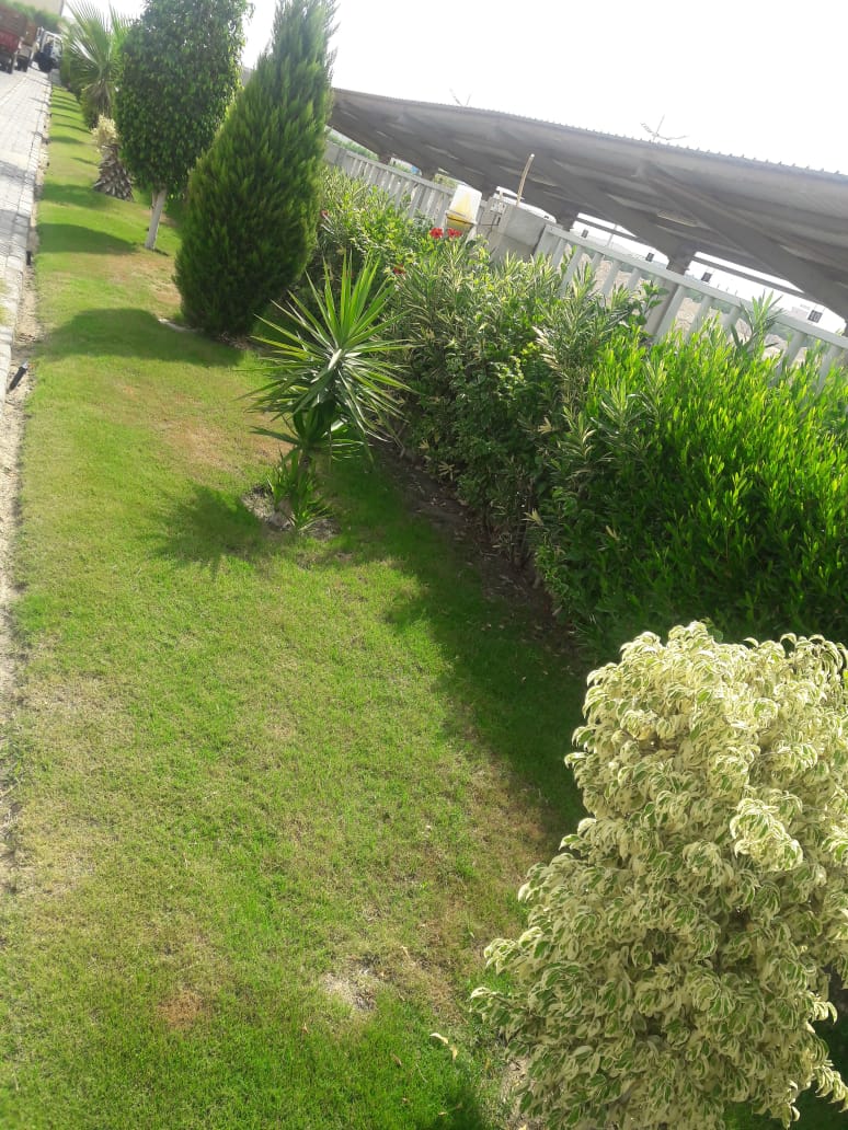 تنسيق الحدائق 3