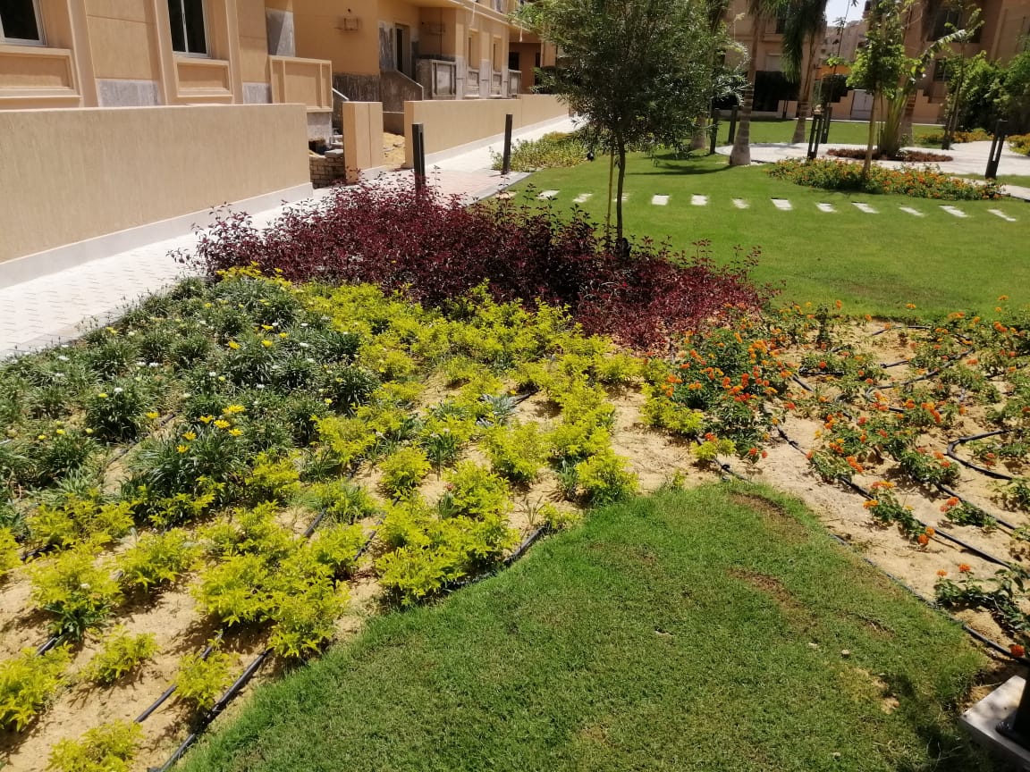 تنسيق الحدائق 4