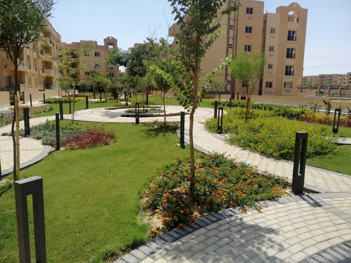 تنسيق الحدائق 6