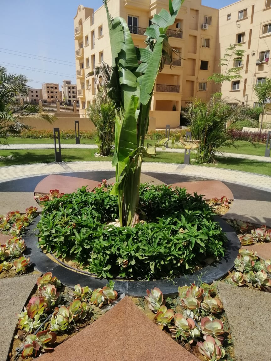تنسيق الحدائق 9