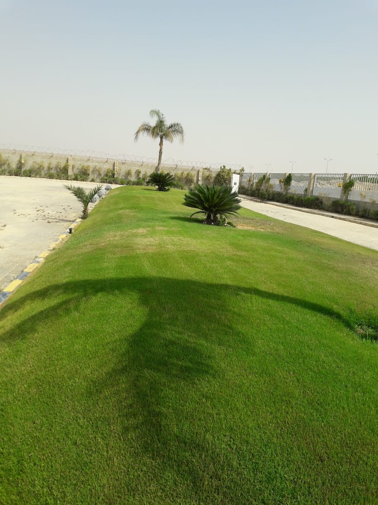 تنسيق الحدائق 10